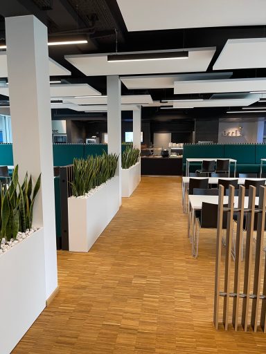 Moderne Büroeinrichtung mit Pflanzen, Holzfußboden und offenen Arbeitsbereichen.